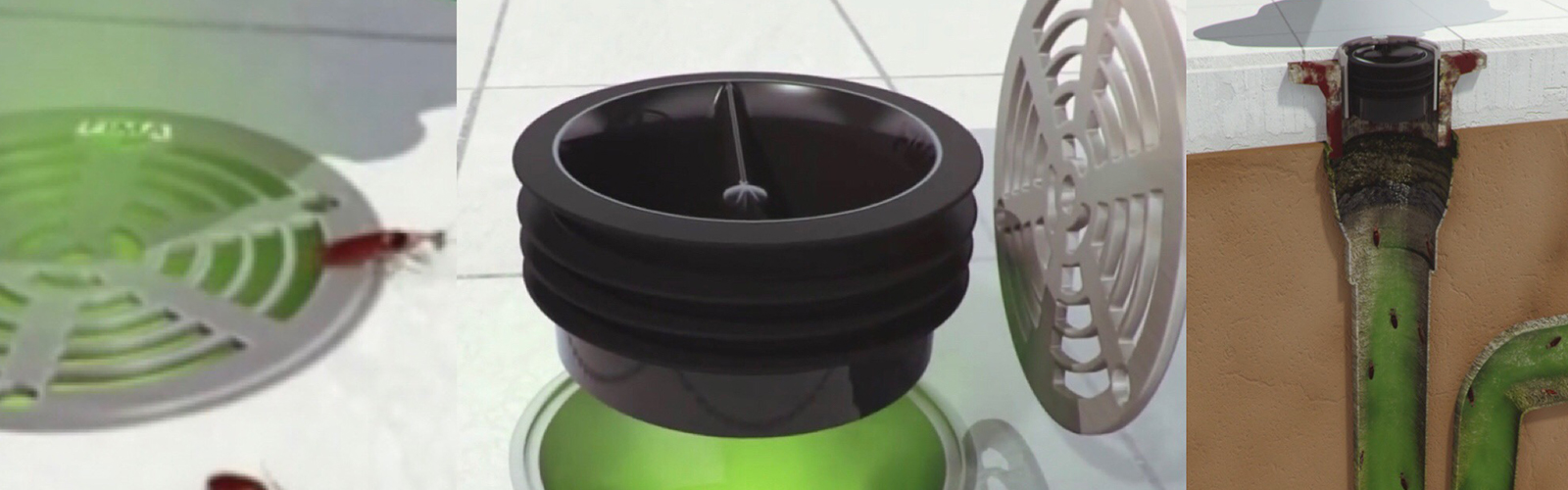 Advice for Preventing Drain Flies in Kitchens & Bathrooms