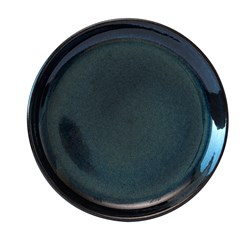 Neiva Flat Plate Blue 270mm Pro.mundi