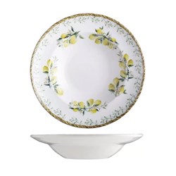 Verona Wide Rim Pasta Bowl 250mm ID Fine