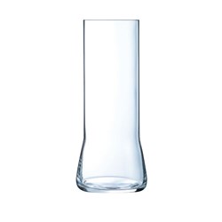 Beer Legend Fruity Beer Glass 480ml