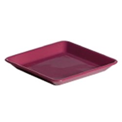 Kh Healthcare Plate Burgundy 140X140mm (12)
