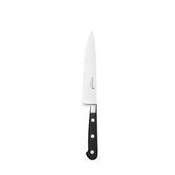 Deglon Ideal Chefs Knife 250Mm 