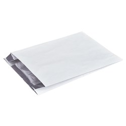 Foil Lined Plain Chicken Bag White Mini 250x165x56mm Detpak