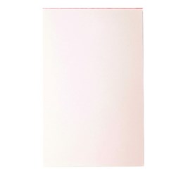 Note Pad Blank White 100X150mm Plain Pad Med 10/Pkt (10)