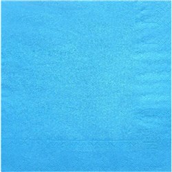 2Ply Lunch Napkin Light Blue 100/Pkt (20)