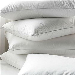 Pillow 30% Down 70% Feather 48 X 70Cm 750Gm (10)