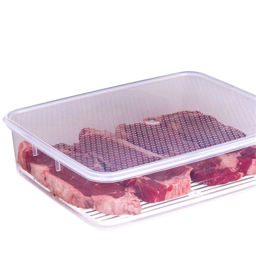 Tellfresh Plastic Meat Storer 4L 315x241x78mm Decor