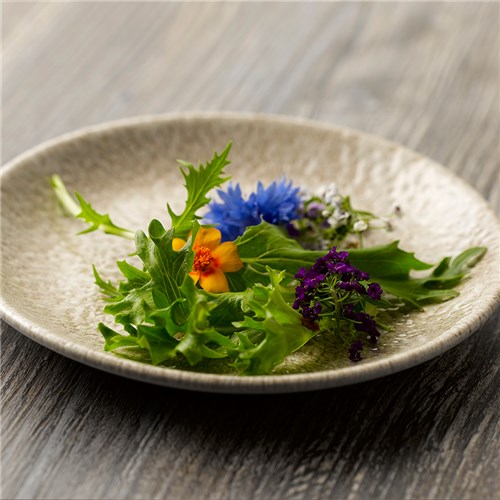 Raku Coupe Plate Agate Grey 217mm Churchill