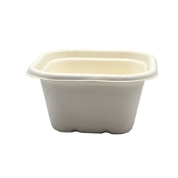 3445734 - Sugarcane Takeaway Container White 480ml