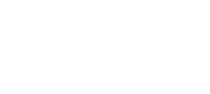 Pleatpak