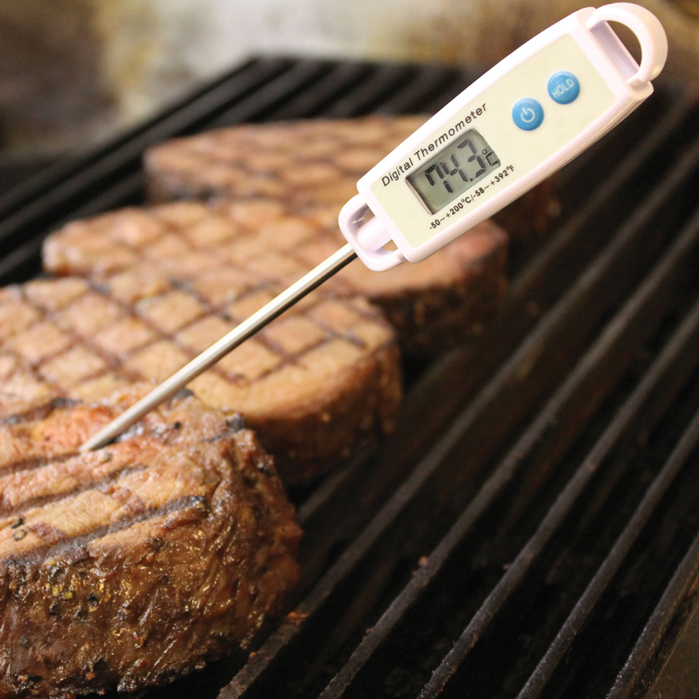 Kitchen Thermometer