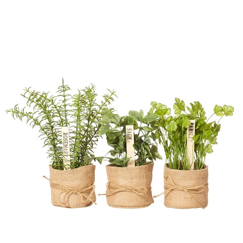 Herbs In Burlap Assort (6) 150X150x250mm